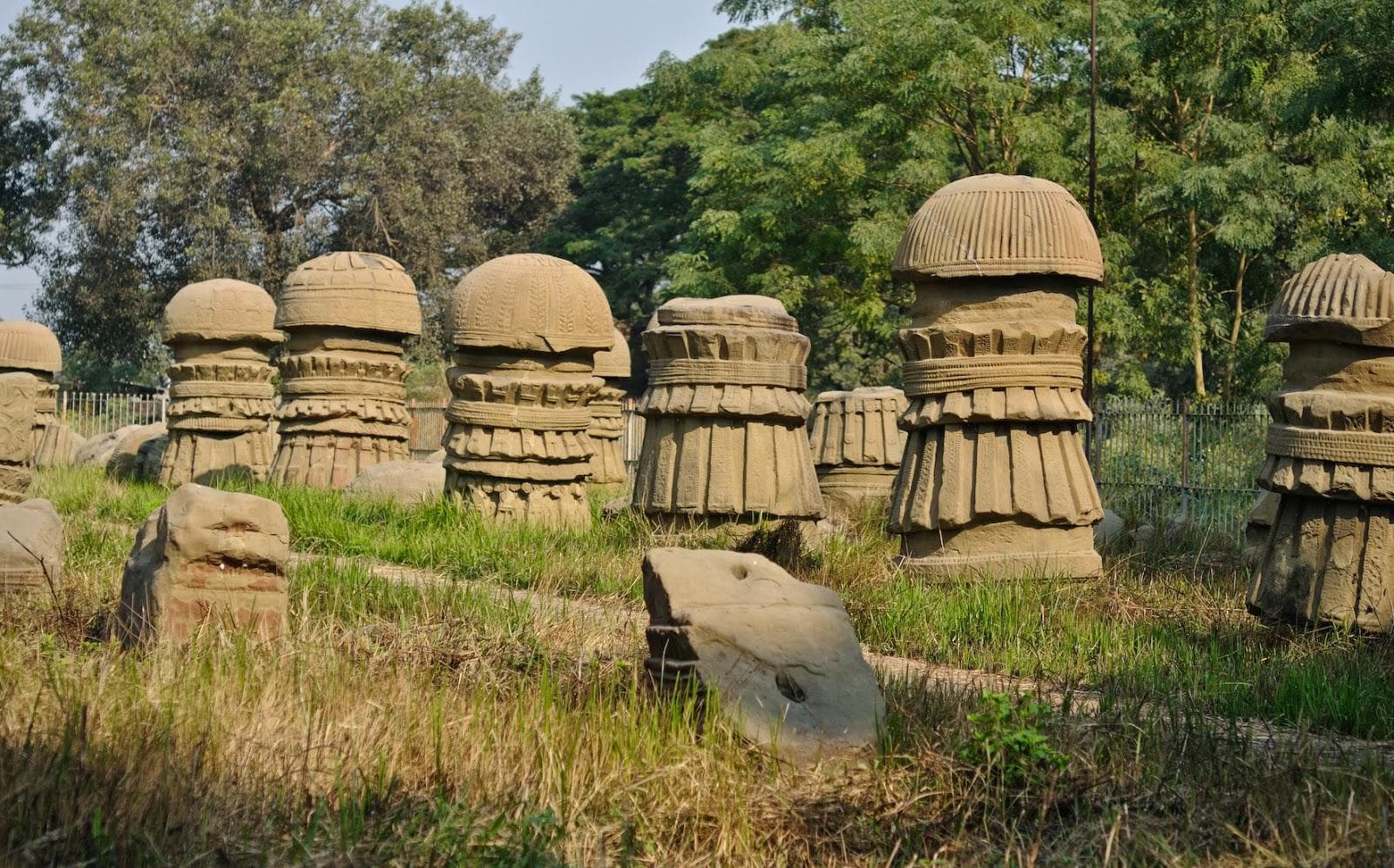Nagaland Culture and Valleys