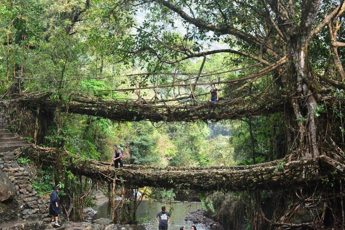 Meghalaya (Shillong) Tour Package Image 7