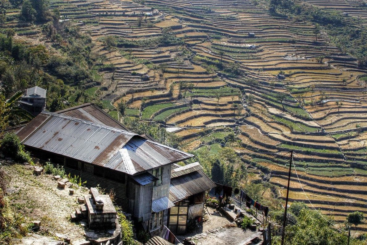 Nagaland Tour Package Image 4