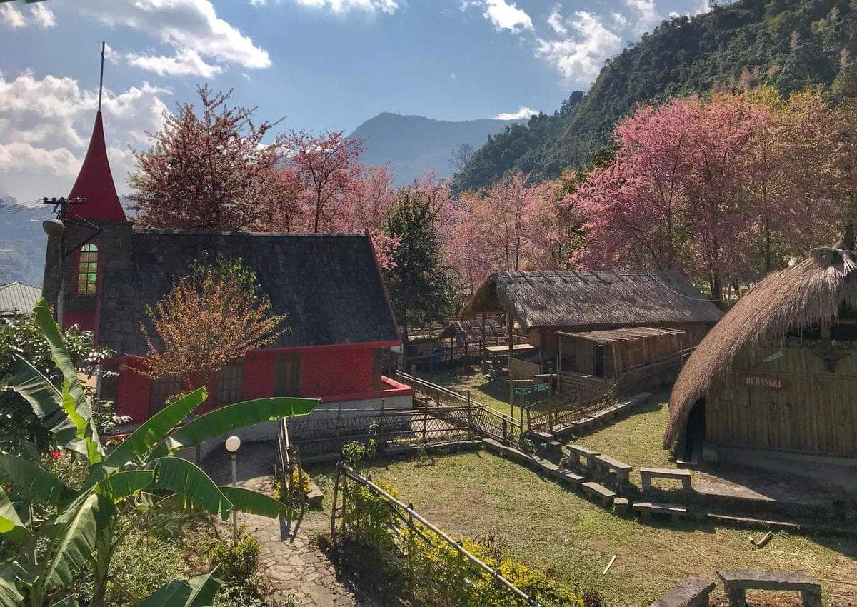 Nagaland Tour Package Image 6